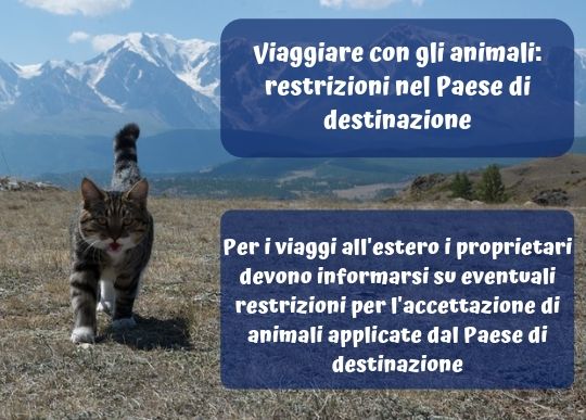 Animali Restrizioni.jpg
